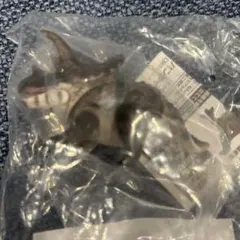 トリケラトプス