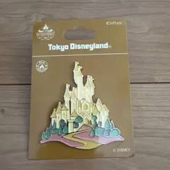 ディズニー　ワンマンズドリーム　ピンバッジ