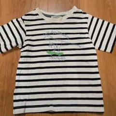100cm ボーダーTシャツ 恐竜柄 シューラルーのサムネイル