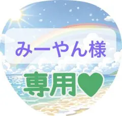 みーやん様専用ページ