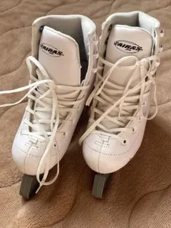 Item thumbnail for item b348e1e5-2989-46e4-b12d-737229843db5