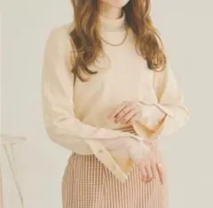 Ambre Neige 袖スリットボタントップス