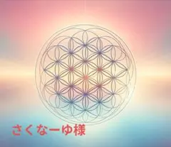 さくなーゆ様ご専用