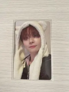 &TEAM NICHOLAS ニコラス　雪明かり　アニマルトレカ