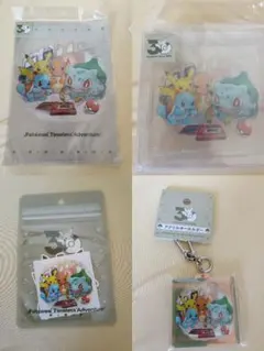 ポケモン 30周年 アクリルブロック アクリルキーホルダー 2点セット