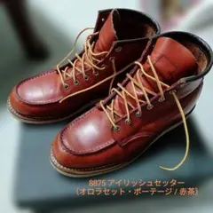 2026年最新】RED WING 875 羽タグの人気アイテム - メルカリ