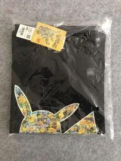 Item thumbnail for item 497f4325-8f43-4f2b-adc7-fd214428d360