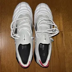 ミズノモレリアネオ4βJAPAN