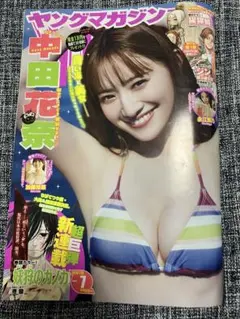 週刊ヤングマガジン バックナンバー2冊 2025 2026 中田花奈 送料込