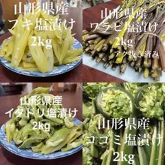 山形県産 山菜塩漬け4種 各2kgセット ワラビ イタドリ コゴミ フキ 山形県産 山菜塩漬け4種 各2kgセット ワラビ イタドリ コゴミ フキ