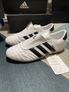 Adidas taekwondo