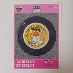 田中健児様 リクエスト 2点 まとめ商品