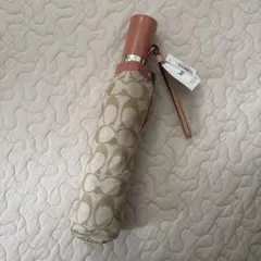 Item thumbnail for item fa4cddb8-6b09-467c-8fd8-01f2fb88c3df