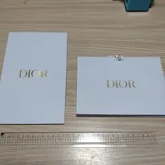 Dior ホワイトレザー調　紙袋