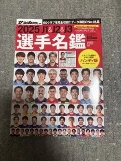 2025 J1 & J2 & J3 jリーグ 選手名鑑 ハンディ版