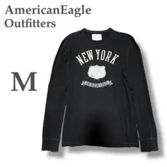 【アメリカンイーグルアウトフィッターズ】⭐︎長袖Ｔシャツ⭐︎M⭐︎グレー⭐︎刺繍⭐︎