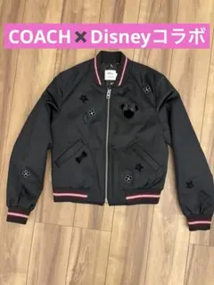 ディズニースタジャン　ディズニーランド 50周年 ジャケット　レア物 2026年最新】ディズニーランド スタジャンの人気アイテム - メルカリ