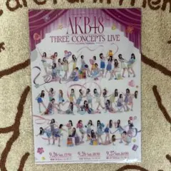 AKB48 コンサート ペリちゃんくじ K賞 クリアファイルセット