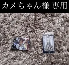 カメちゃん様専用 デスノートウエハース 2枚セット