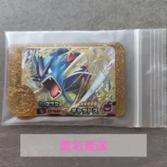 ポケモンフレンダ　ギャラドス