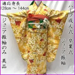 603aj48□ハーフ成人式 卒業式 セミアンティークジュニア振袖のみ 