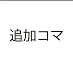 時計ご購入者さま、専用、ブレスレット追加コマ、一コマ