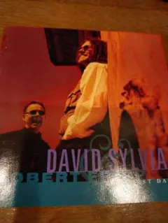 キメ132 David Sylvian & Robert Fripp First