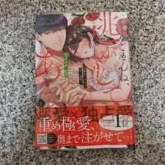 ごめんね、逃がしてあげない～幼馴染ヤクザの甘い暴愛～ 1