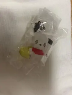 めじるしアクセサリー　ポチャッコ