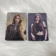 BABYMONSTER WEGOUP パリタ トレカ