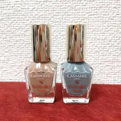 CANMAKE キャンメイク カラフルネイルズ N28 N17 2個セット