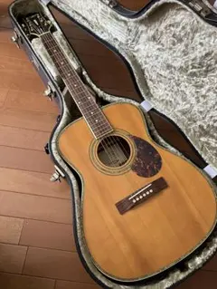 2026年最新】masterbilt epiphoneの人気アイテム - メルカリ
