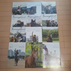 2026年最新】サラブレ 雑誌の人気アイテム - メルカリ