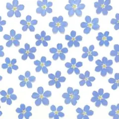 cherry様 リクエスト 3点 まとめ商品