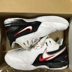 Nike Zoom LeBron NXXT Gen