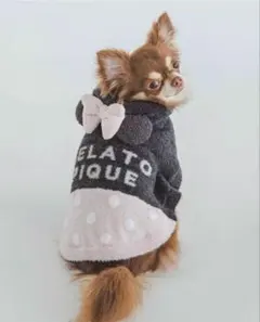 GELATO PIQUE 犬用　Minnie スムーズィーケープのサムネイル