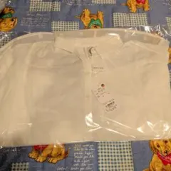 Item thumbnail for item bf2f41d4-50bb-4e3b-a8d9-07a5a957aa32