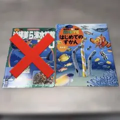 沖縄美ら海水族館100 講談社の動く図鑑MOVE はじめてのずかんＤＶＤなしのサムネイル
