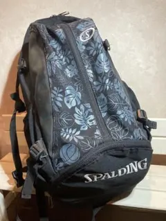 Item thumbnail for item 703b13fc-240c-462f-ae3a-7293ddceb9fc