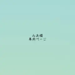 みあ様 専用ページ 忍たまA4ファイル