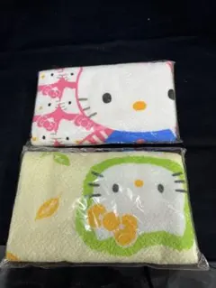 Item thumbnail for item 226e75cf-bd4d-4b29-b78e-0c84ab3585f5