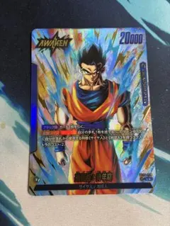 ドラゴンボールフュージョンワールド 超一星龍 リーダーパラレル FB07