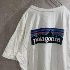 patagonia Tシャツ 半袖　オーガニックコットン バックプリント