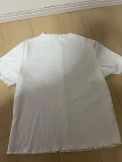 ストライプ ホワイト 半袖Tシャツ