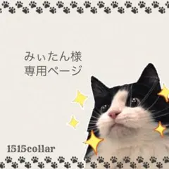 みぃたん様専用ページ