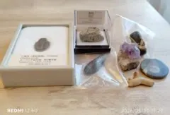 化石　鉱石　三葉虫　黄鉄鉱　アメジスト　アンモナイト　セット　さめの歯のサムネイル
