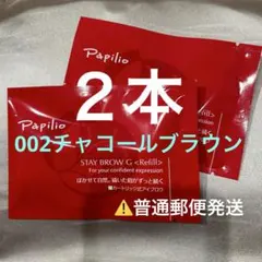 新品未開封〈リフィル〉 ×2本〈◇002チャコール〉パピリオ ステイ
