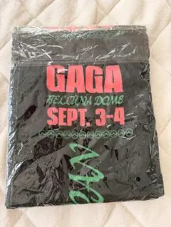 LADY GAGA / THE BORN レディーガガ マフラータオル 2026年最新】レディーガガ タオルの人気アイテム - メルカリ