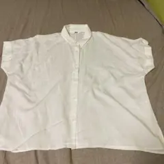 Item thumbnail for item 4950a2d5-bc09-4cd5-9568-18336724b062