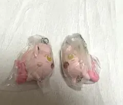 ポケモン つまんでつなげてマスコット11 サケブシッポ